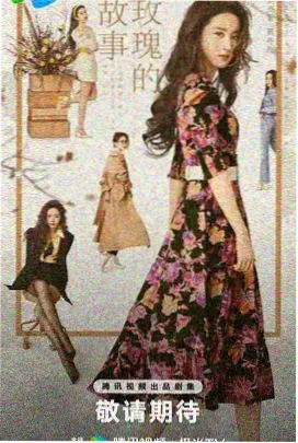 磁力兔子 风骚律师 美剧